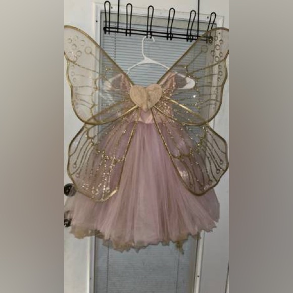 Pottery Barn Faerie Costume size 3T - Picture 5 of 9